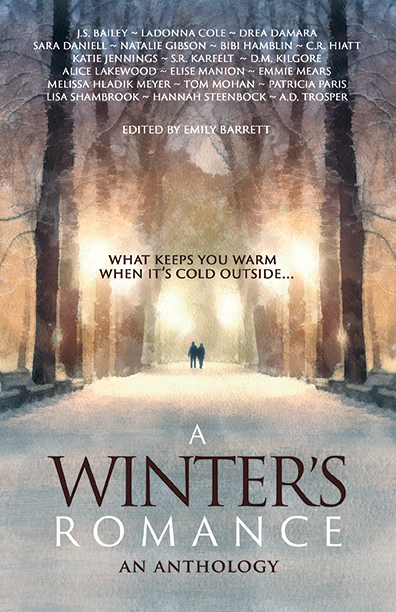 A Winter's Romance published by BHC Press